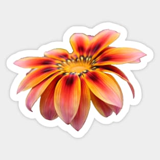 Fiery Flower Sticker